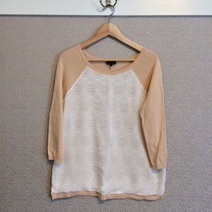 L The Limited Sweater/Top